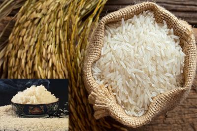 Bảng Giá Gạo ST24 Mới Nhất | Miễn Phí Giao Hàng Tại Nhà