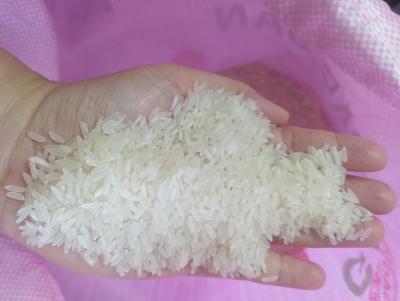 Báo giá Gạo Cà Mau tháng 10/2025, (giảm sâu 12%)