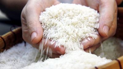 Cách Chọn Mua Gạo Ngon Cho Gia Đình Mà Chị Em Cần Biết