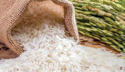 Đại lý gạo gần đây