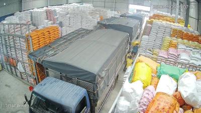 Địa Chỉ Cung Cấp Gạo Giá Sỉ Cho Trường Học, Bếp Ăn Công Nghiệp, Đại Lý, Gạo Từ Thiện Tại Bạc Liêu