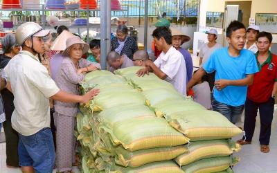 Gạo Đà Lạt dòng gạo sạch thơm dẻo từ cao nguyên Lâm Đồng