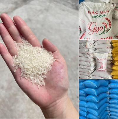 Giá gạo st25 hôm nay