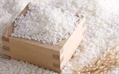 giá Gạo tấm Sa mơ hôm nay