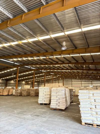 Kho Gạo Giá Sỉ Sóc Trăng – Cung Cấp Gạo Cho Đại Lý, Bếp Ăn, Từ Thiện