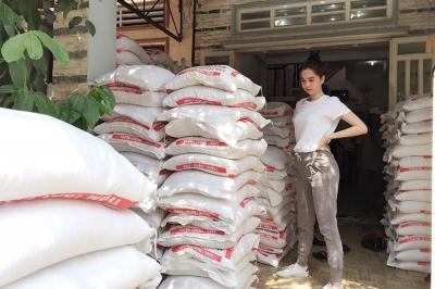 Mua gạo từ thiện ở đâu chất lượng và giá tốt Quận 12