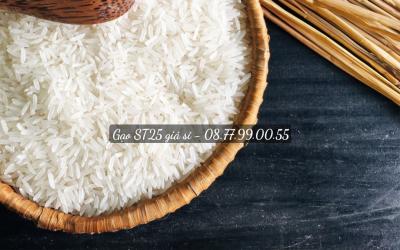 Sỉ Gạo ST25 Chuẩn Tại Đà Nẵng 