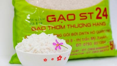 Top 6 địa chỉ mua gạo ST25 uy tín, chất lượng tại TP. HCM