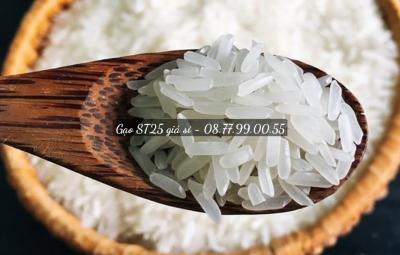 Top các loại gạo ngon nhất Việt Nam