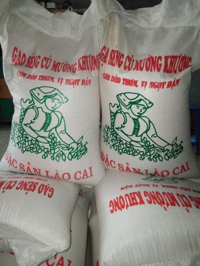 Vựa gạo, kho gạo sỉ tại TPHCM gần đây uy tín