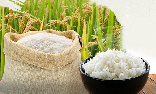Cung cấp gạo giá sỉ cho bếp ăn trường học, căng tin, công ty tại TP.HCM -  Alogao