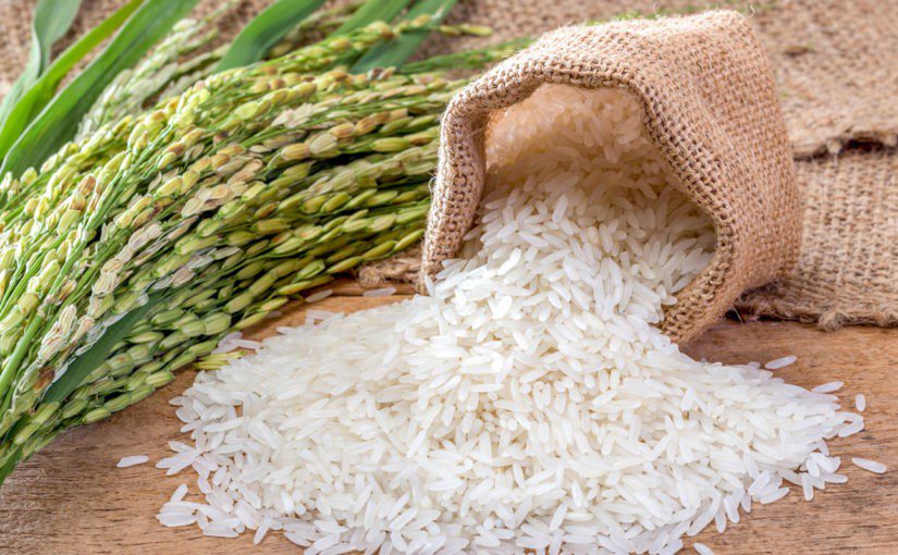 Quốc Huy cam kết 100% chất lượng gạo sạch