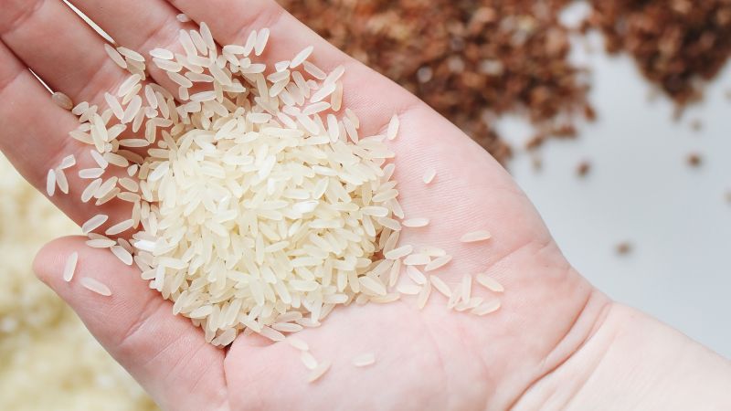 Giá lúa gạo hôm nay 25/9/2023: Gạo thơm Jasmine tăng 1.000 đồng/kg