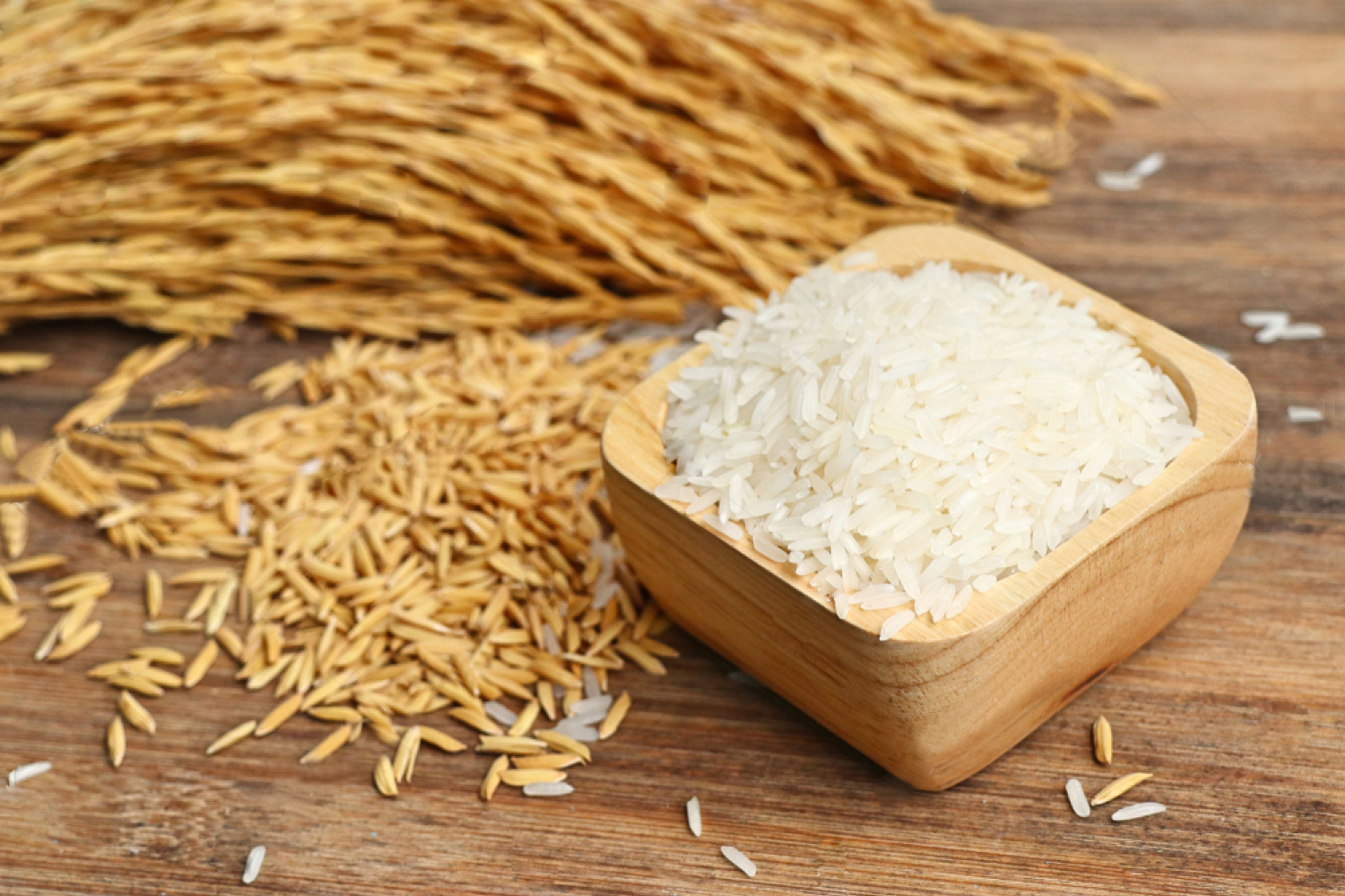 Tổng Kho Gạo Miền Tây Cung Cấp Sỉ Và Lẻ Tại TpHCM | Gạo ngon online