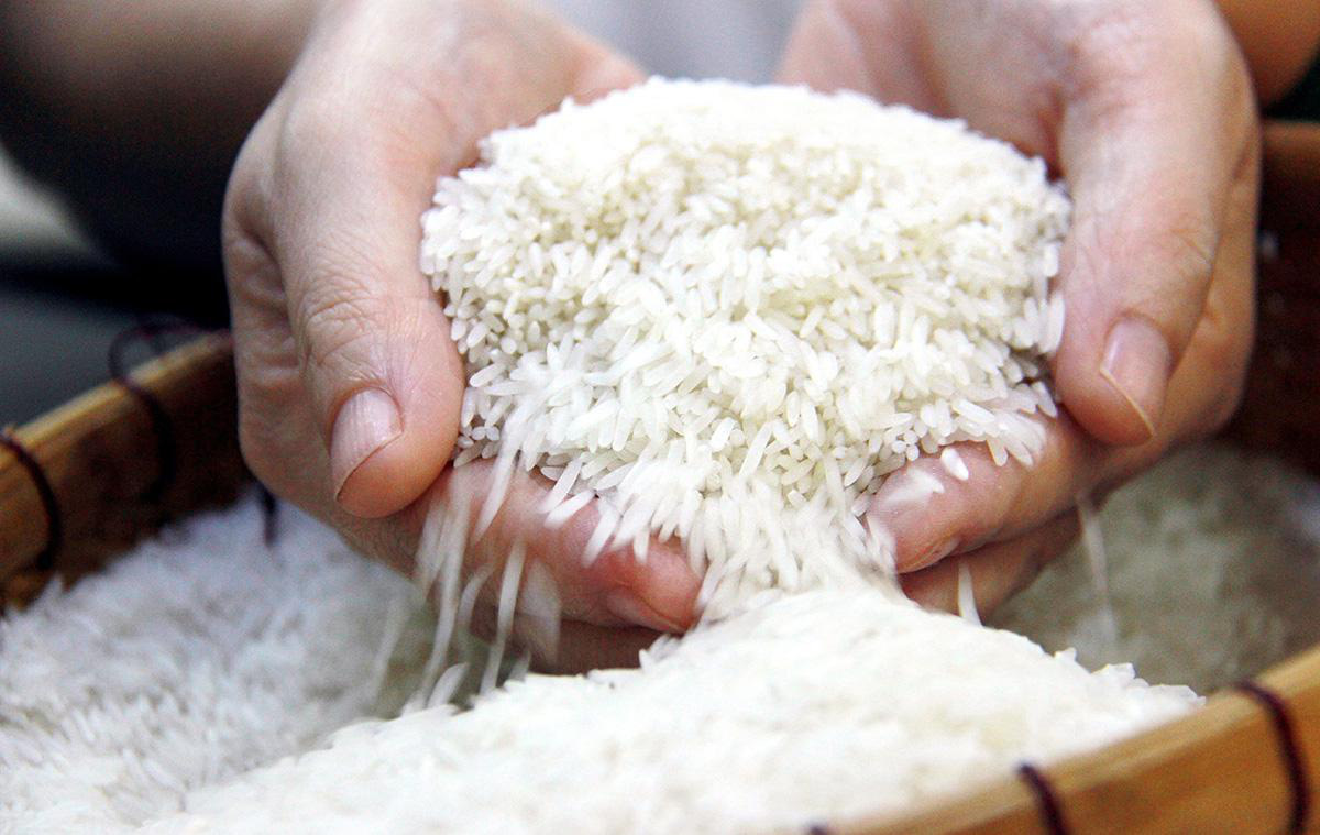 Mở đại lý gạo cần những thủ tục nào?
