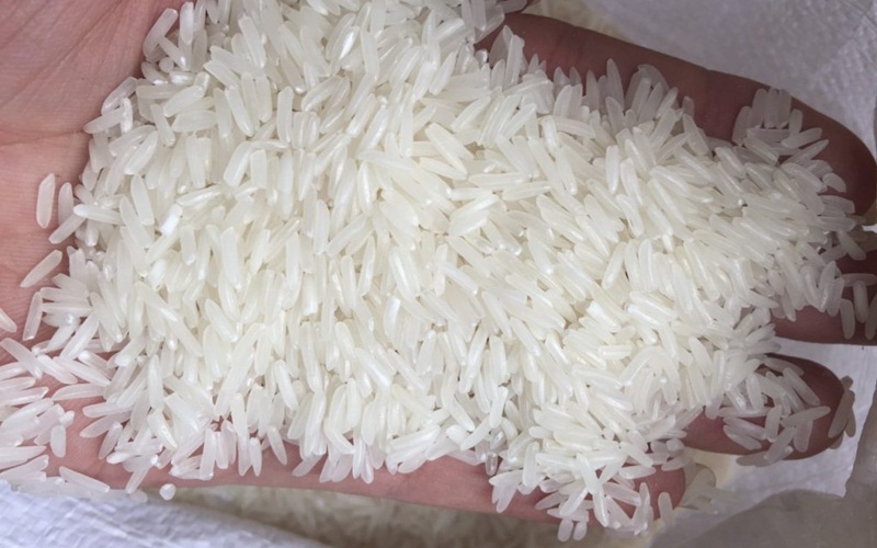 Sản lượng gạo ST24 ảnh hưởng lớn đến giá bán