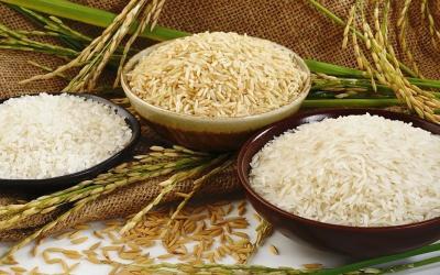 Công ty gạo ở tại long an