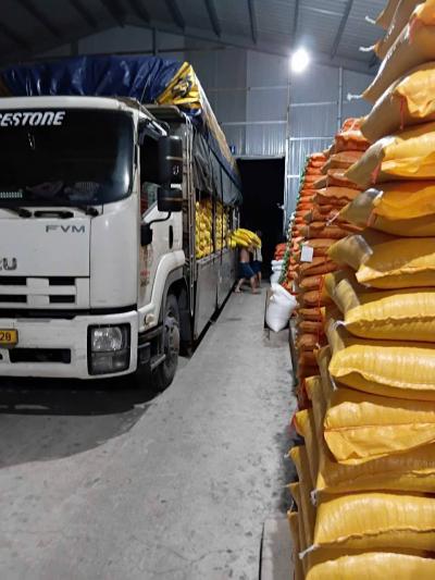 Công ty gạo Vifood tại tiền giang