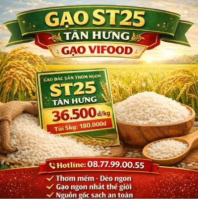  Gạo ST25 Tân Hưng | Gạo Ngon Đặc Sản – Giá Sỉ Tại VIFOOD 