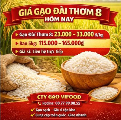  Giá Gạo Đài Thơm 8 Hôm Nay | Báo Giá Mới Nhất Tại VIFOOD 