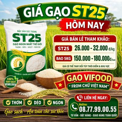  Giá Gạo ST25 Hôm Nay | Cập Nhật Mới Nhất – Giá Sỉ & Lẻ 