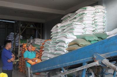 Vựa Gạo, Đại Lý Gạo, Kho Gạo Sỉ Bình Dương Gần Đây