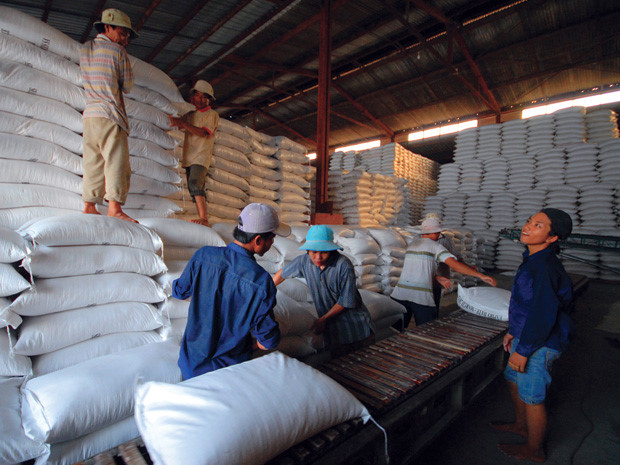 gạo tài nguyên la bình dương