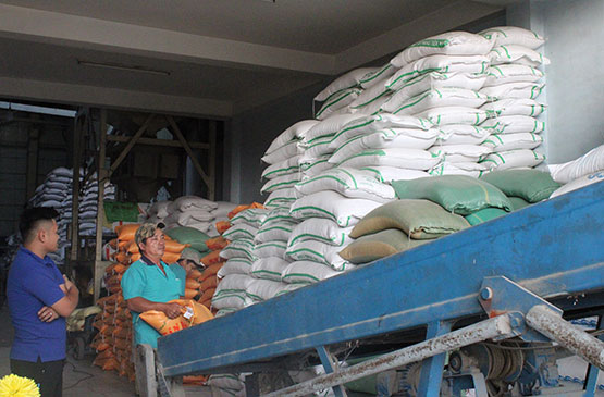 vựa gạo bình dương gần đây