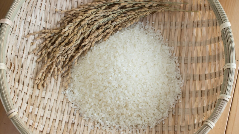 Gạo tám Điện Biên giá rẻ có độ mềm dẻo thơm ngon tự nhiên